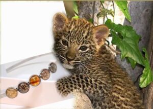 Diadeem Tijger